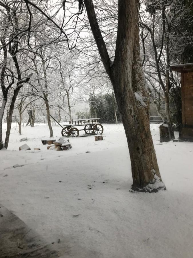 Бунгало Kheivani Exterior foto